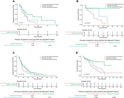 Complex ALK Fusions Are Associated With Better Prognosis in Advanced Non-Small Cell Lung Cancer